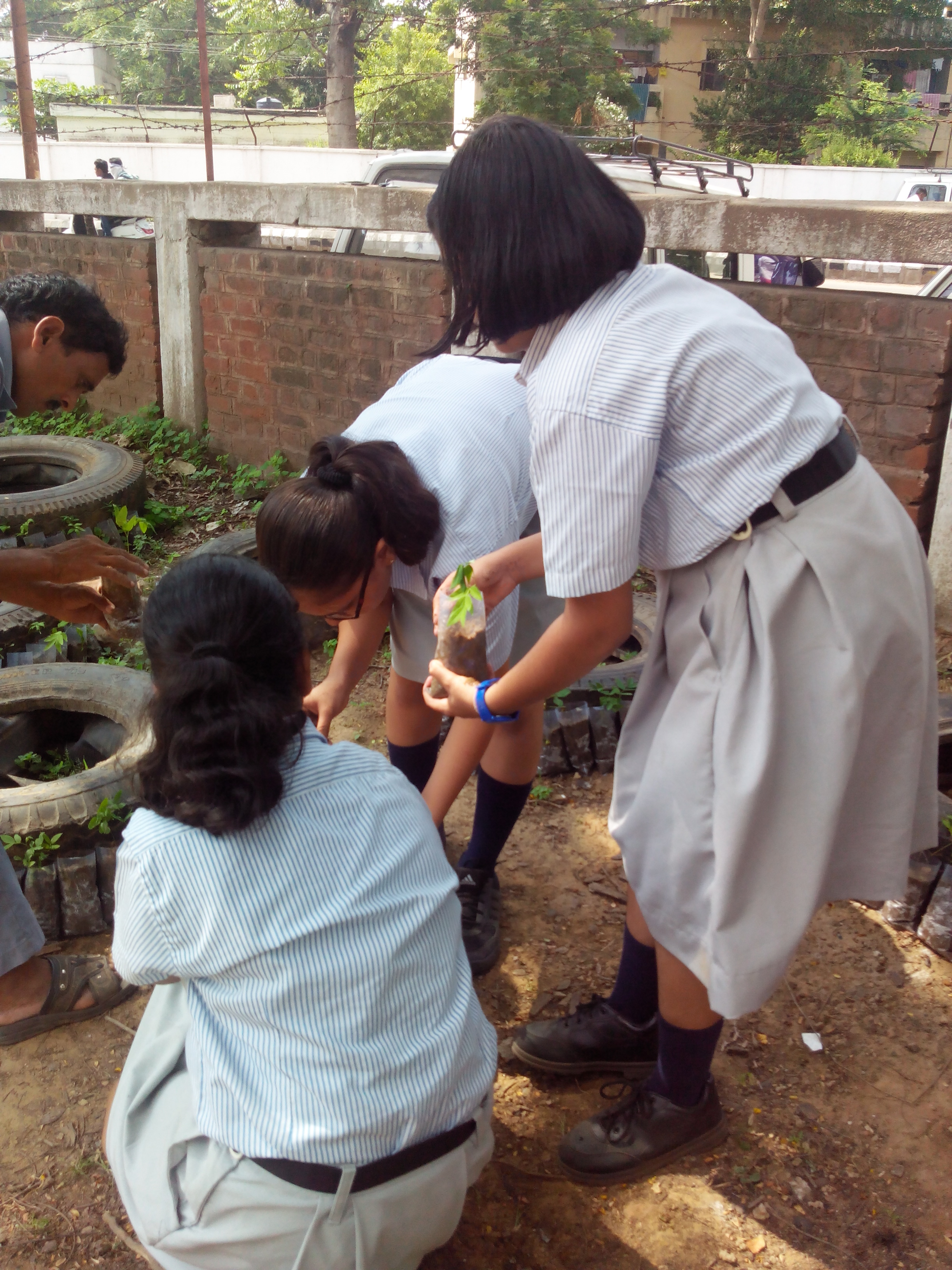 Harit Srijan – Beej Se Seekh Tak - Photo 3