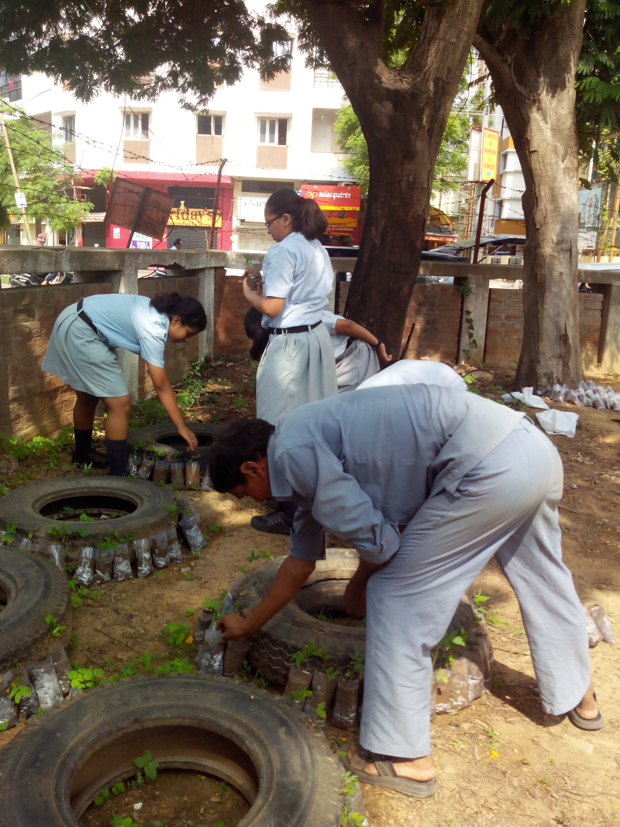 Harit Srijan – Beej Se Seekh Tak - Photo 4
