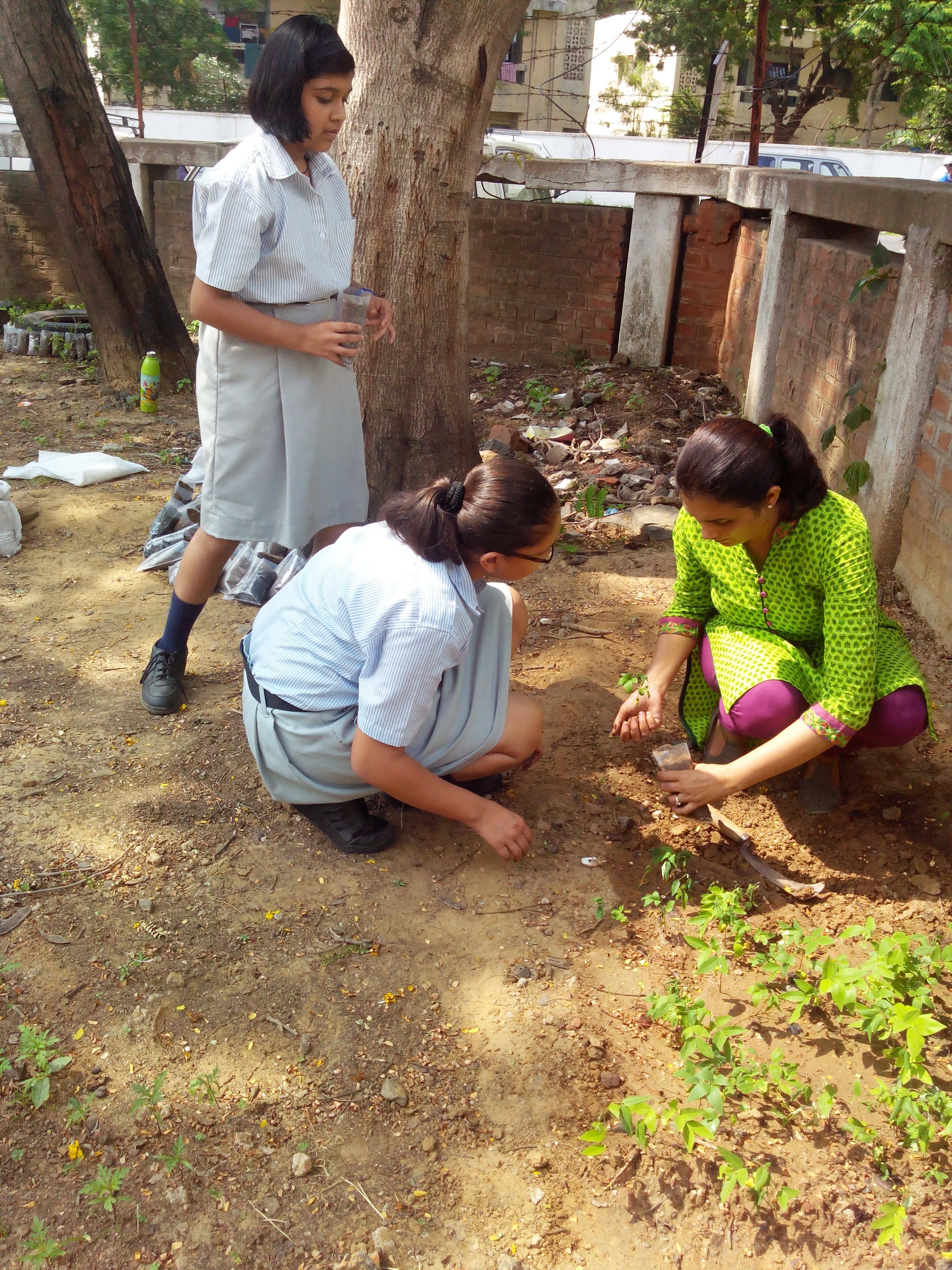 Harit Srijan – Beej Se Seekh Tak - Photo 5