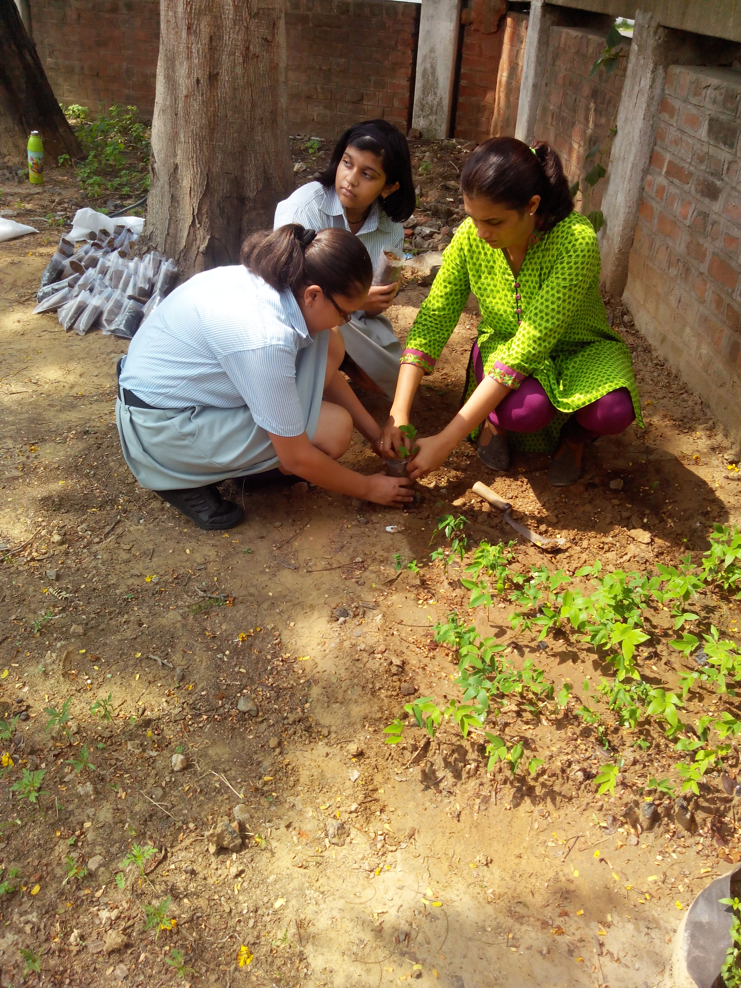 Harit Srijan – Beej Se Seekh Tak - Photo 6