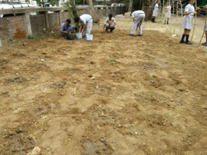Harit Srijan – Beej Se Seekh Tak - Photo 11