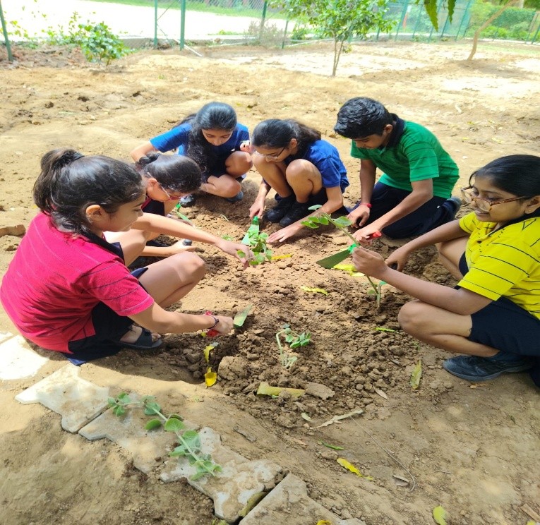 Harit Srijan – Beej Se Seekh Tak - Photo 13