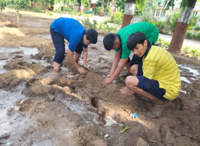 Harit Srijan – Beej Se Seekh Tak - Photo 17