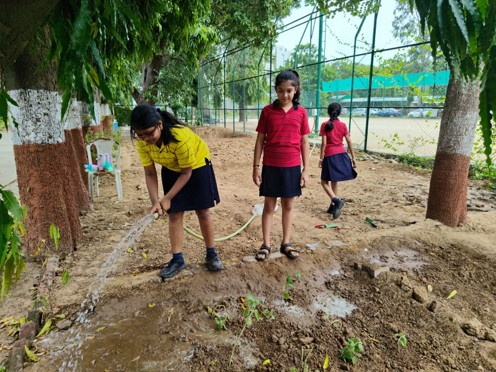 Harit Srijan – Beej Se Seekh Tak - Photo 19