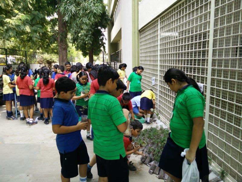 Harit Srijan – Beej Se Seekh Tak - Photo 25