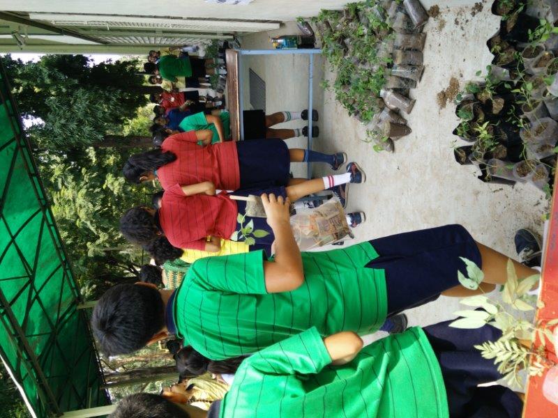 Harit Srijan – Beej Se Seekh Tak - Photo 26