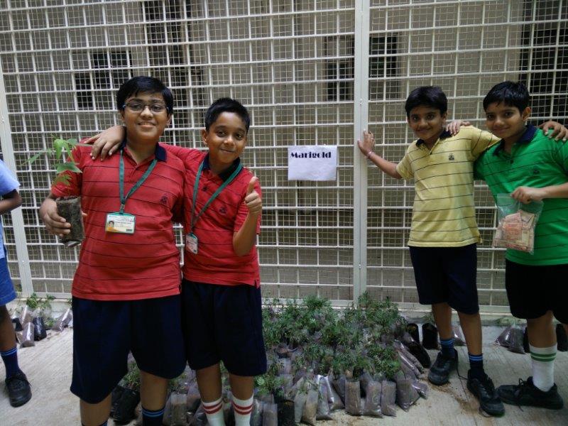 Harit Srijan – Beej Se Seekh Tak - Photo 27