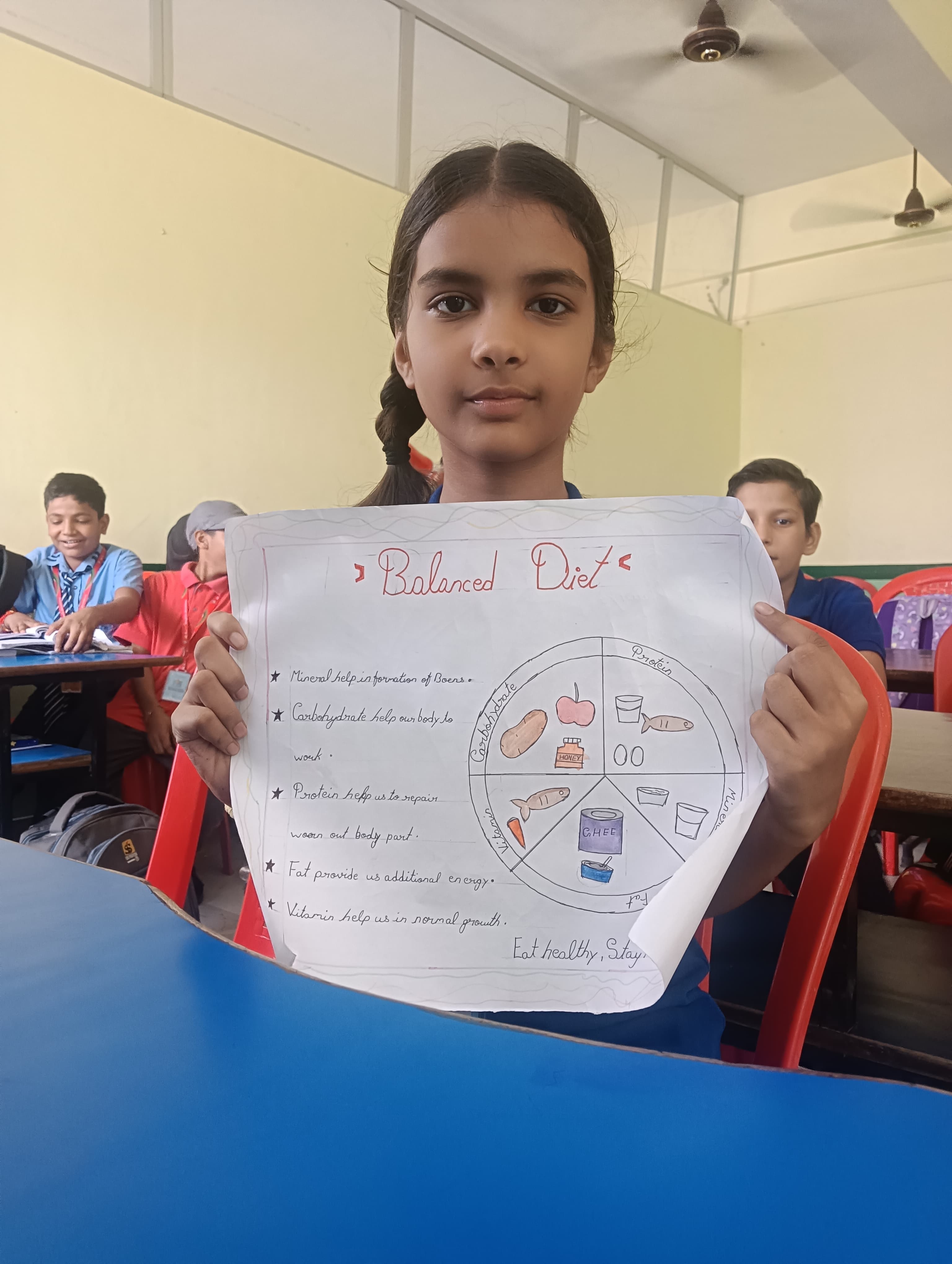 The Healthy Plate Project: Nourishing Health, Building Futures - Photo 12