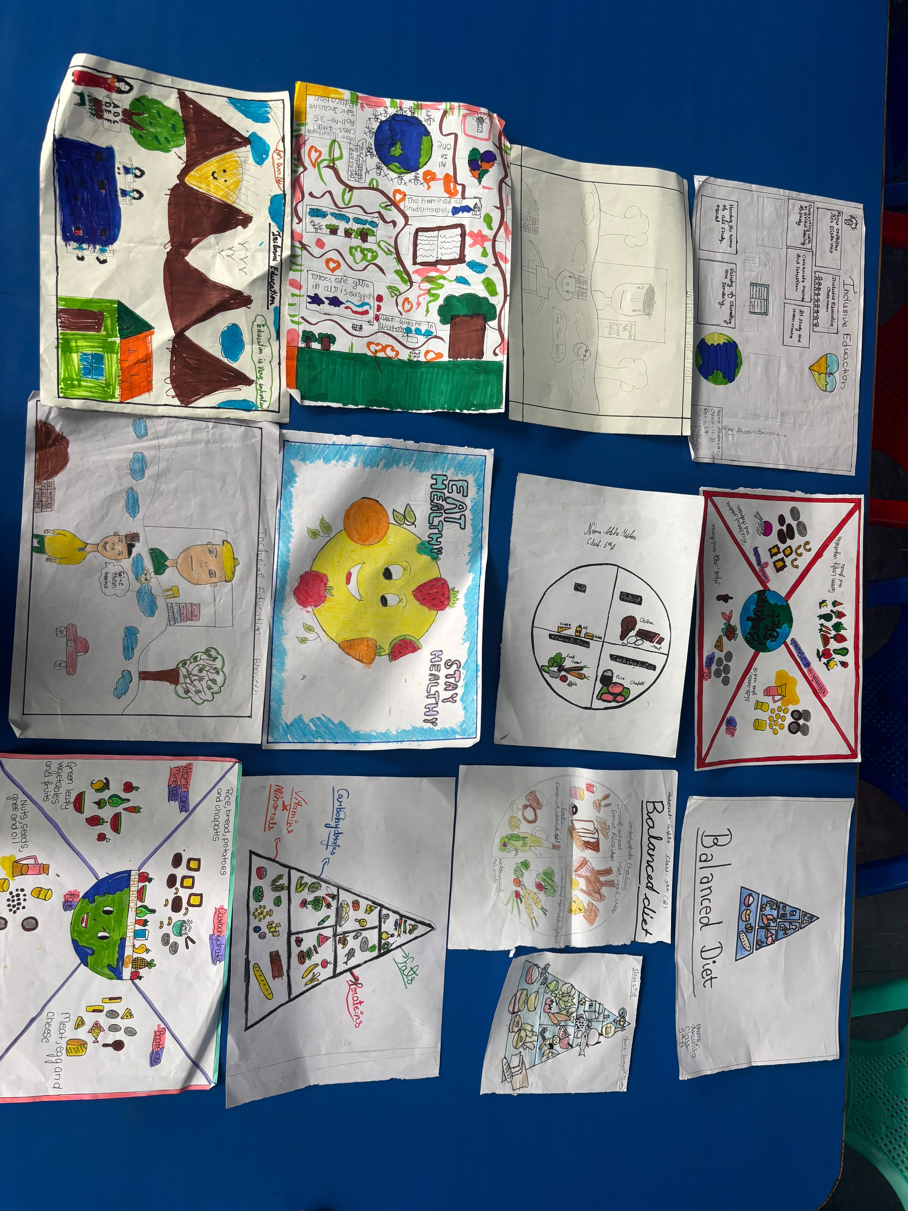 The Healthy Plate Project: Nourishing Health, Building Futures - Photo 39