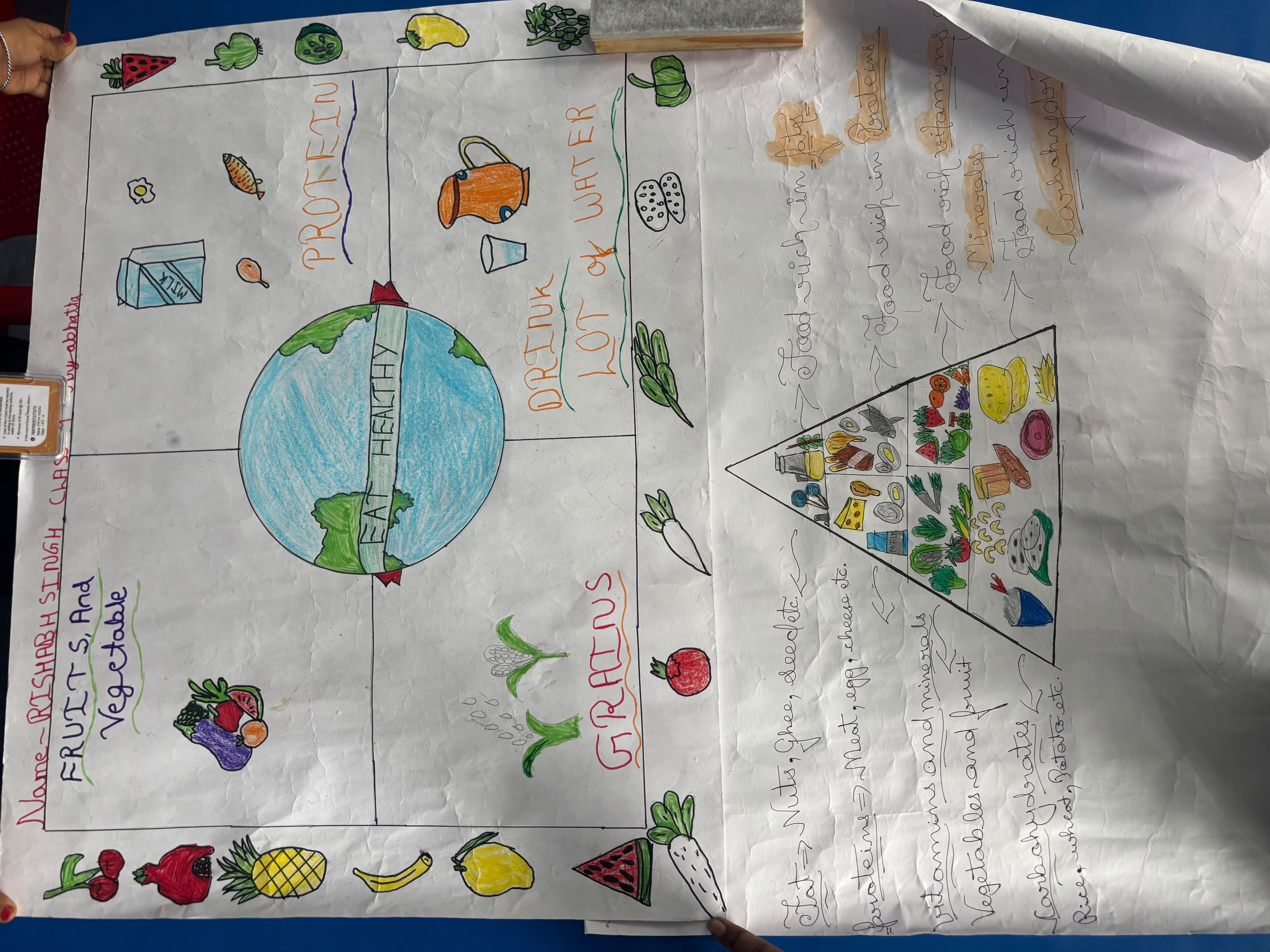 The Healthy Plate Project: Nourishing Health, Building Futures - Photo 41