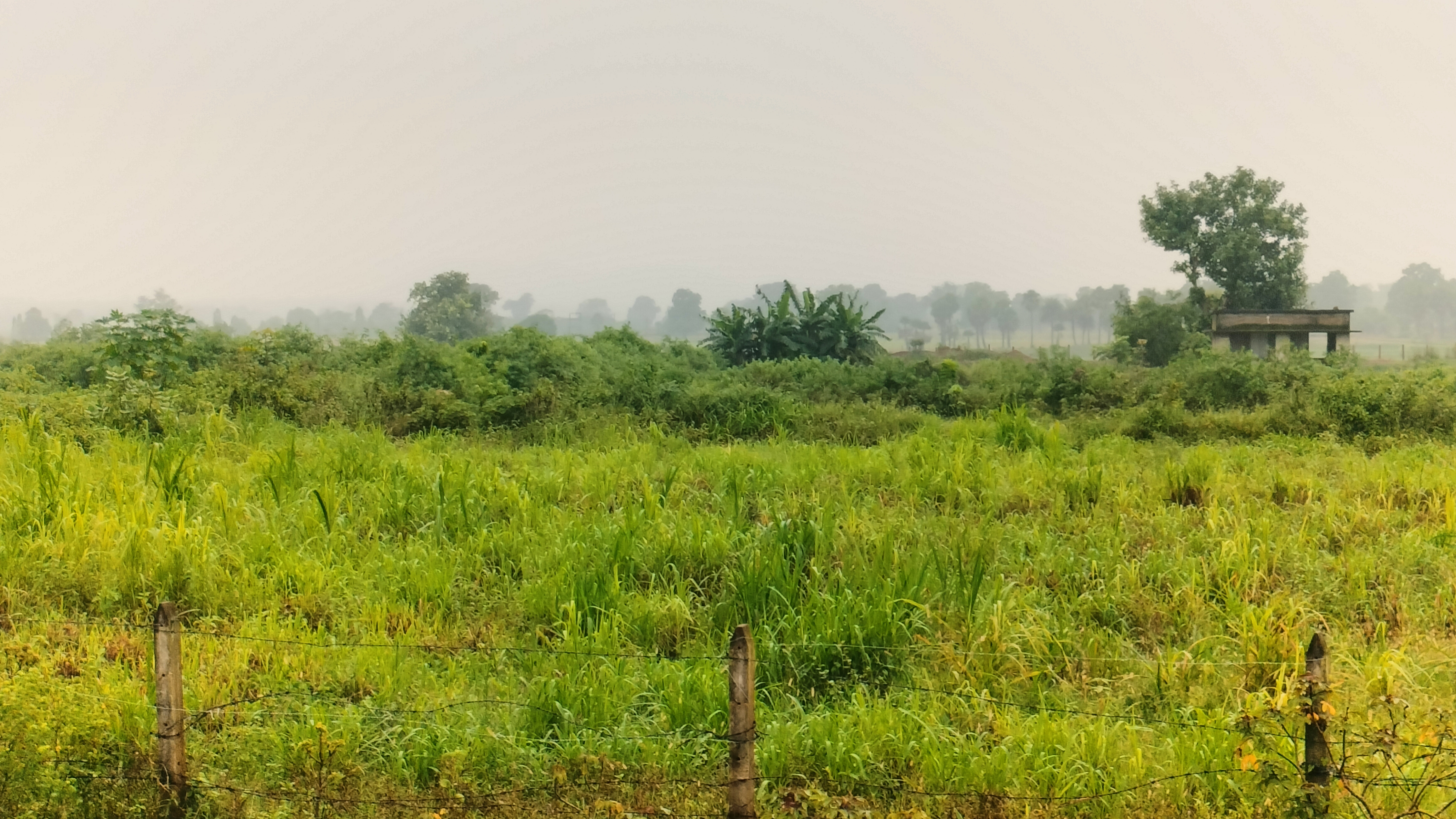 SANSKAR LIVING LOOP - Photo 12