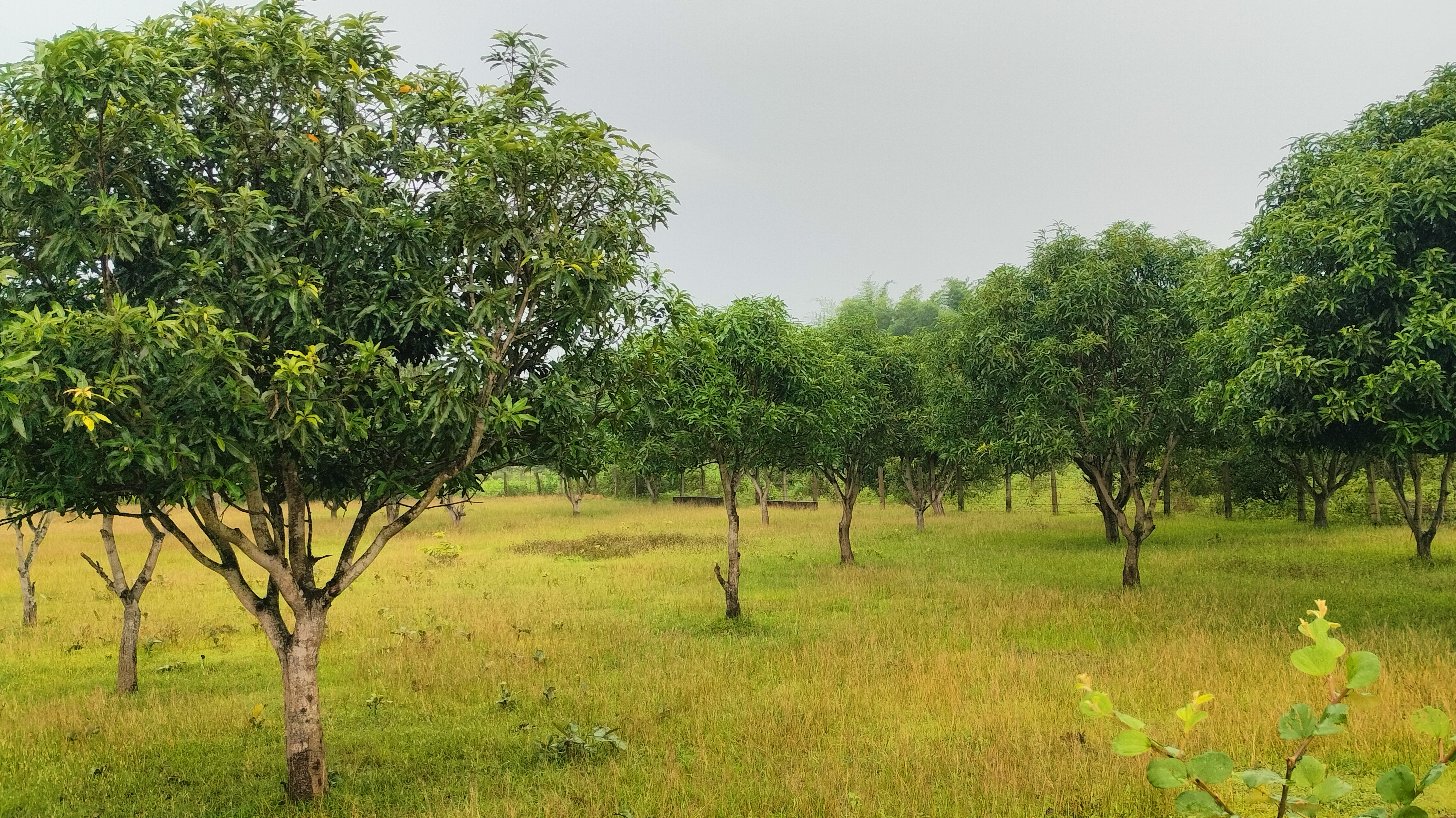 SANSKAR LIVING LOOP - Photo 4